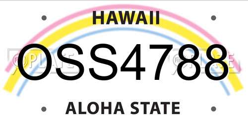 OSS4788 Hawaii License Plate