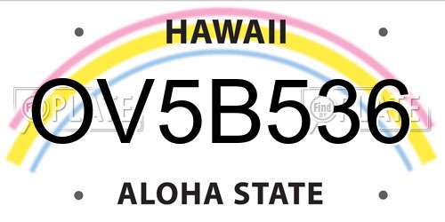 OV5B536 Hawaii License Plate
