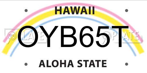 OYB65T Hawaii License Plate