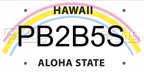 PB2B5S Hawaii License Plate