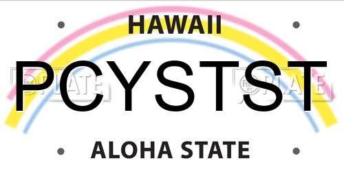 PCYSTST Hawaii License Plate