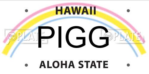 PIGG Hawaii License Plate
