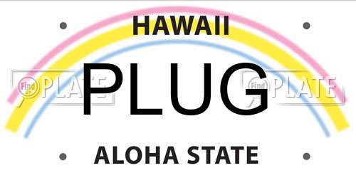 PLUG Hawaii License Plate