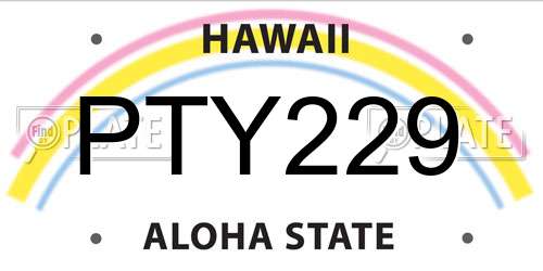 PTY229 Hawaii License Plate