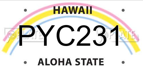 PYC231 Hawaii License Plate