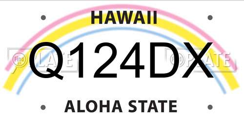 Q124DX Hawaii License Plate