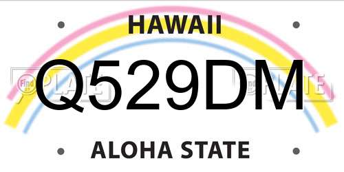 Q529DM Hawaii License Plate