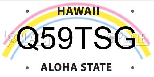 Q59TSG Hawaii License Plate