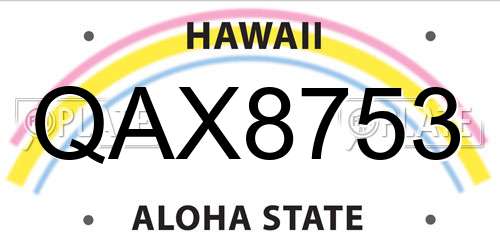 QAX8753 Hawaii License Plate
