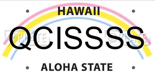 QCISSSS Hawaii License Plate