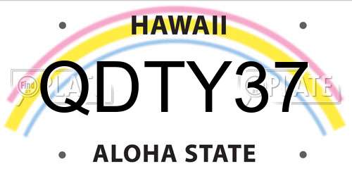 QDTY37 Hawaii License Plate