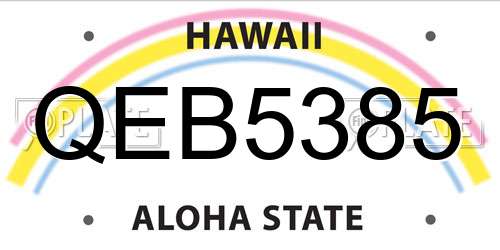 QEB5385 Hawaii License Plate