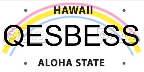 QESBESS Hawaii License Plate