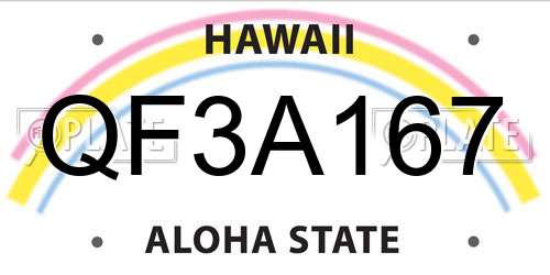 QF3A167 Hawaii License Plate