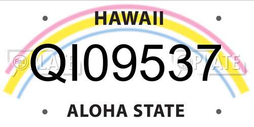 QI09537 Hawaii License Plate