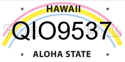 QIO9537 Hawaii License Plate