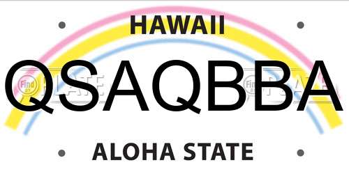 QSAQBBA Hawaii License Plate