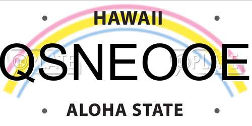 QSNEOOE Hawaii License Plate