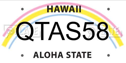 QTAS58 Hawaii License Plate