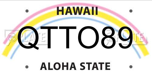 QTTO89 Hawaii License Plate