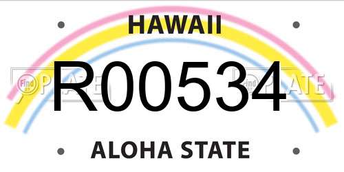 R00534 Hawaii License Plate