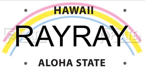 RAYRAY Hawaii License Plate