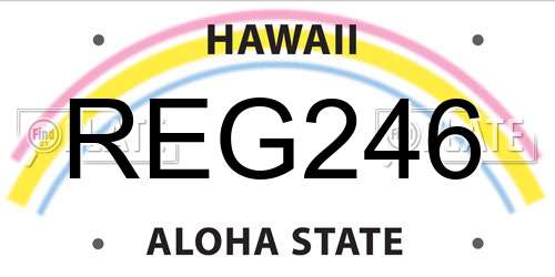 REG246 Hawaii License Plate