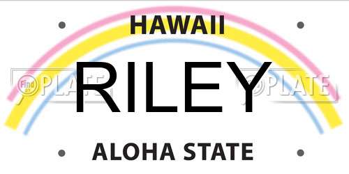 RILEY Hawaii License Plate