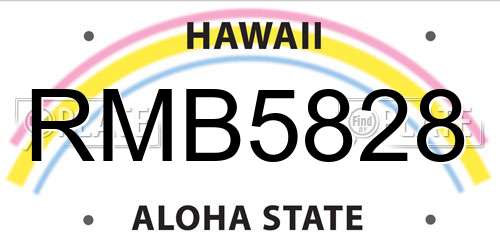 RMB5828 Hawaii License Plate