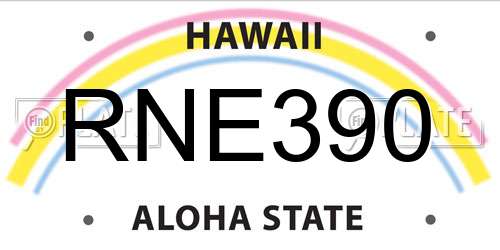 RNE390 Hawaii License Plate