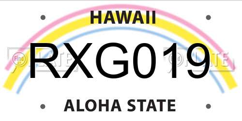 RXG019 Hawaii License Plate