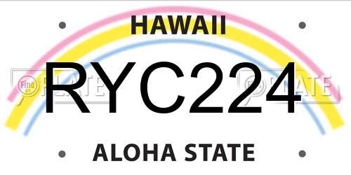 RYC224 Hawaii License Plate
