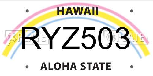 RYZ503 Hawaii License Plate