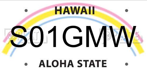 S01GMW Hawaii License Plate