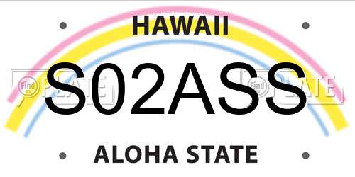 S02ASS Hawaii License Plate