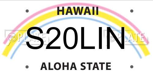 S20LIN Hawaii License Plate