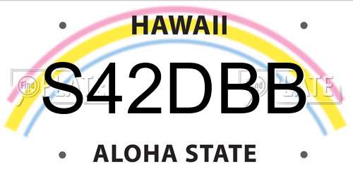 S42DBB Hawaii License Plate