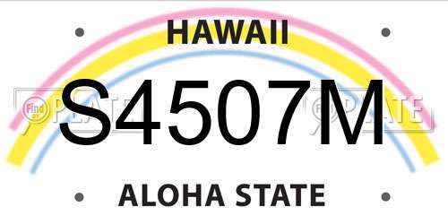 S4507M Hawaii License Plate