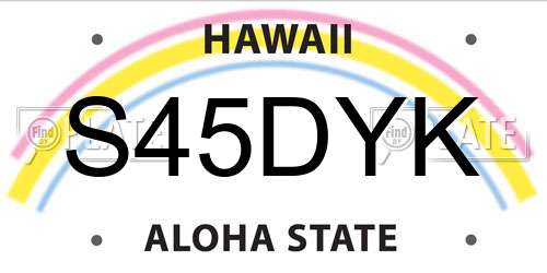 S45DYK Hawaii License Plate