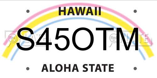 S45OTM Hawaii License Plate