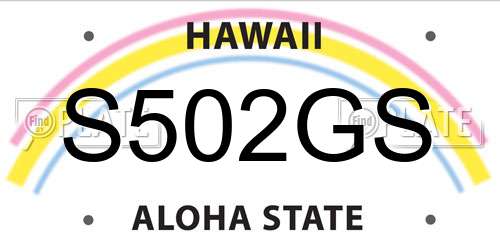 S502GS Hawaii License Plate