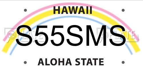 S55SMS Hawaii License Plate