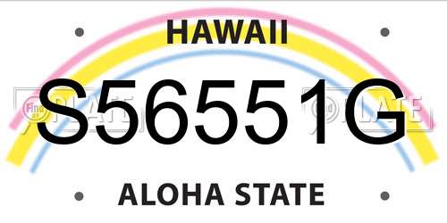 S56551G Hawaii License Plate