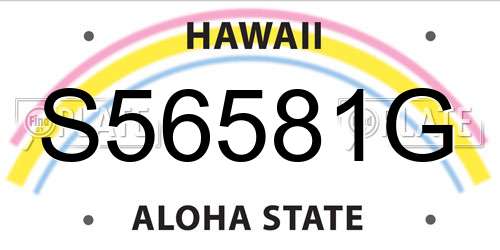 S56581G Hawaii License Plate