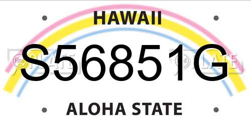 S56851G Hawaii License Plate