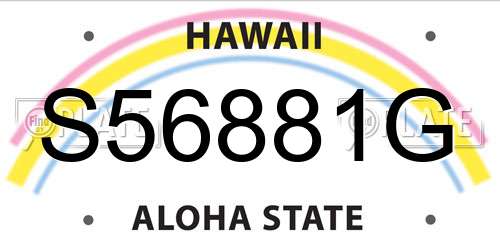 S56881G Hawaii License Plate