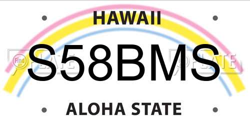 S58BMS Hawaii License Plate