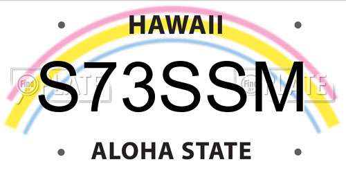 S73SSM Hawaii License Plate
