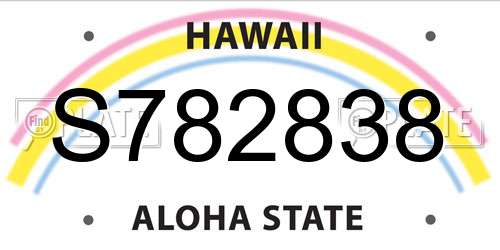 S782838 Hawaii License Plate