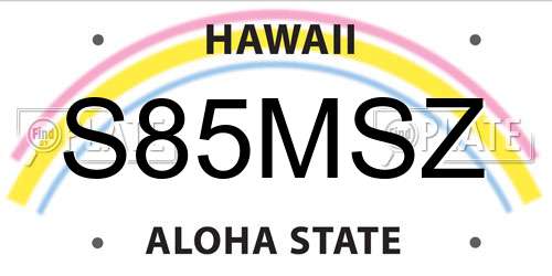 S85MSZ Hawaii License Plate